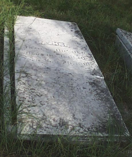 James Bryden Headstone