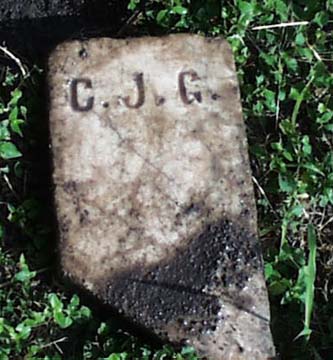 C. J. G. Headstone